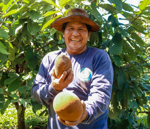 Copuazu image 4